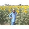 Abrar Ahmed Nutkani