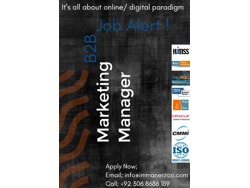 B2B-Marketing Team Manager