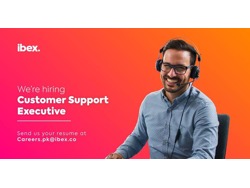 Customer Support Executive-Domestic