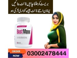 Bustmaxx Pills in Kotri-03002478444