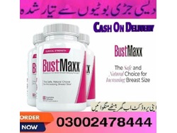 Bustmaxx Pills in Khanpur-03002478444
